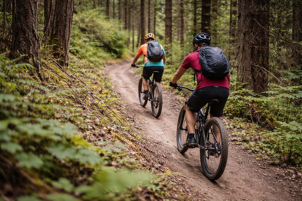 mountain-bikers-flow-trail-forest-singletrack-ride three mountain bikers riding singletrack trail through forest in single file