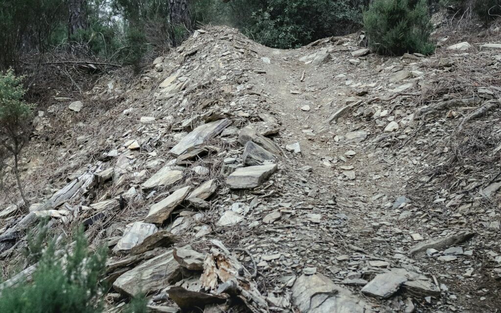 Mountain biker jumping on a rocky forest trail