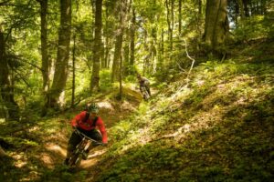 Marius Stratila – MTB guide in Romania, photo 1