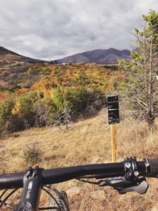Kalifitos Trail Park – bike park in Greece, photo 1
